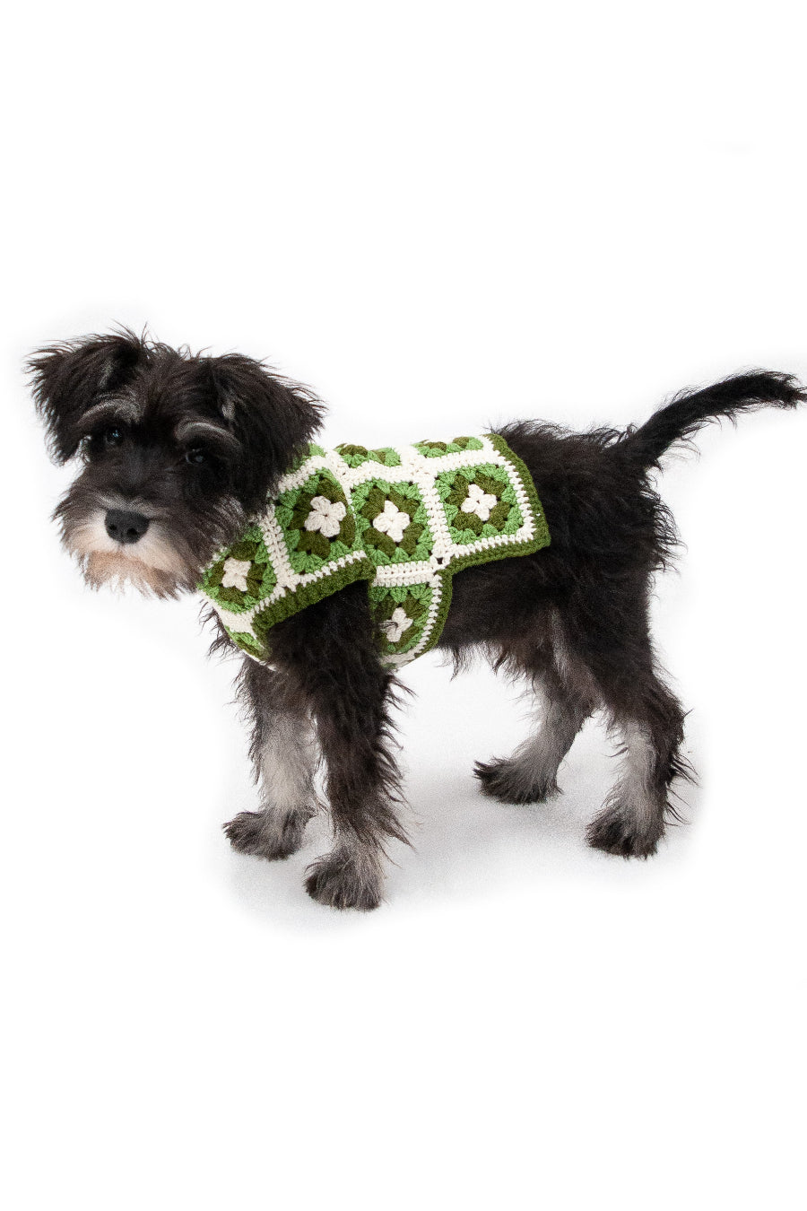 Granny square 2024 dog sweater pattern