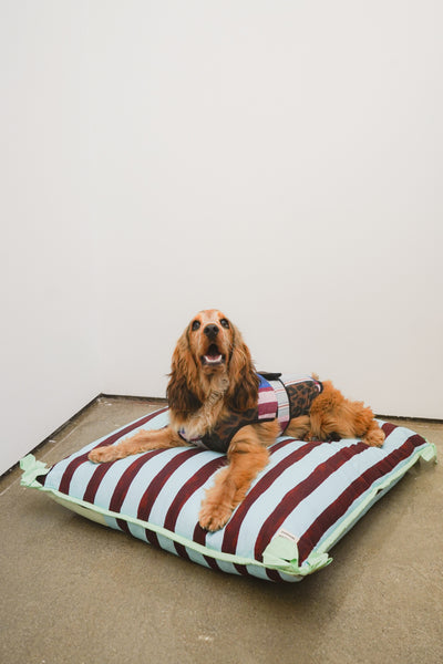 pet bed- multi stripe