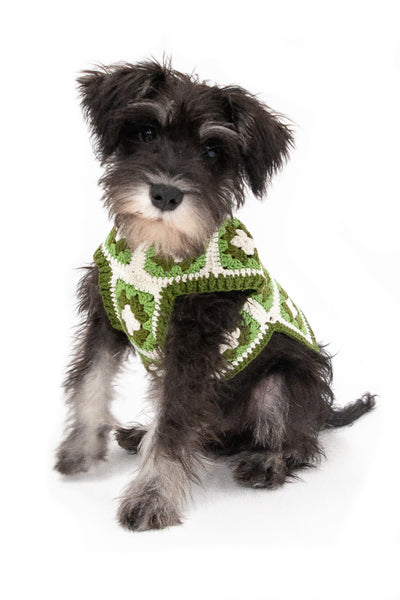 crochet square pet coat - green