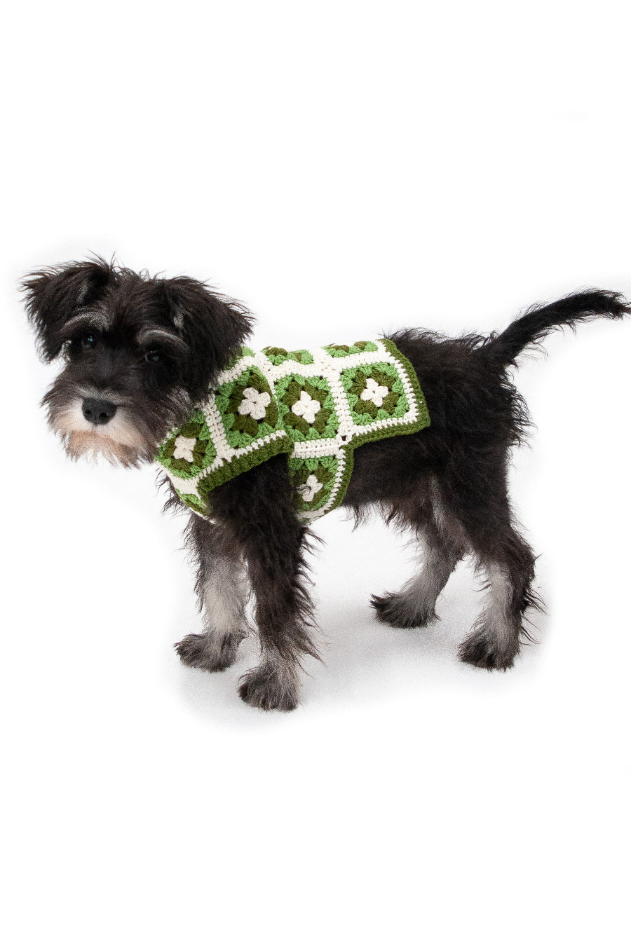 crochet square pet coat - green