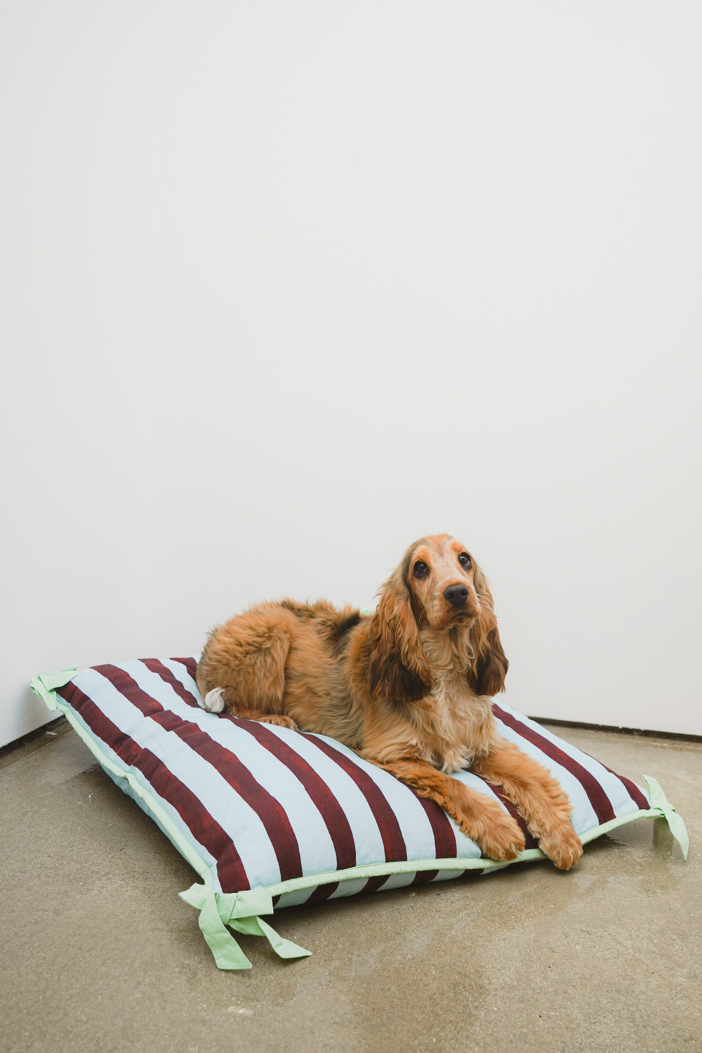pet bed- multi stripe