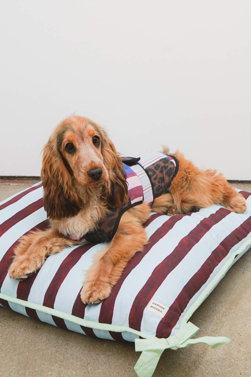 pet bed- multi stripe