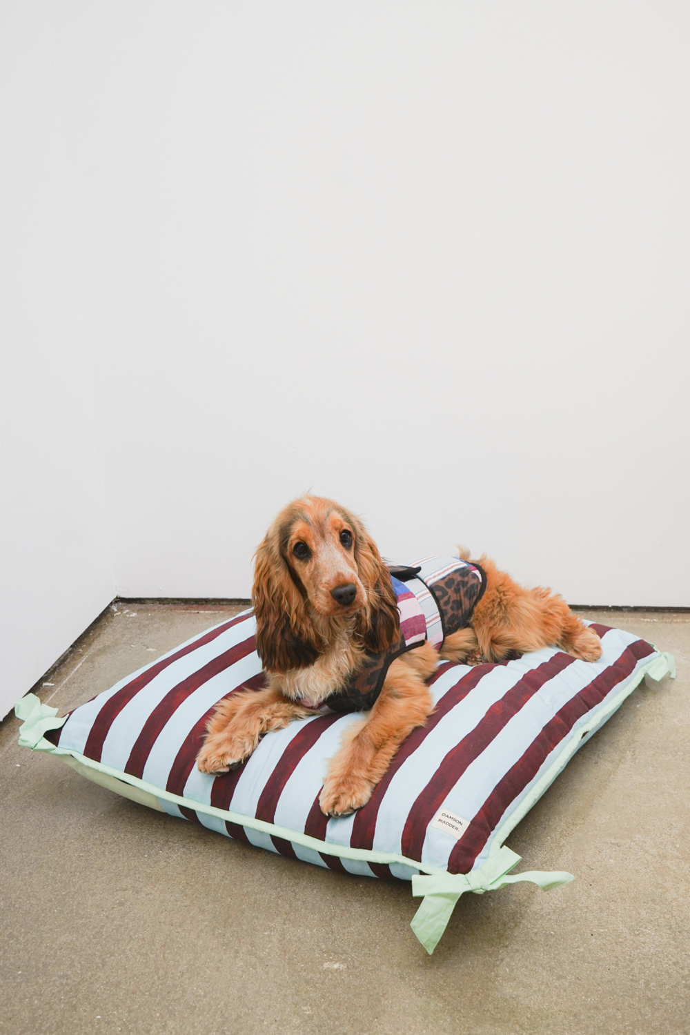 dog coat - patchwork