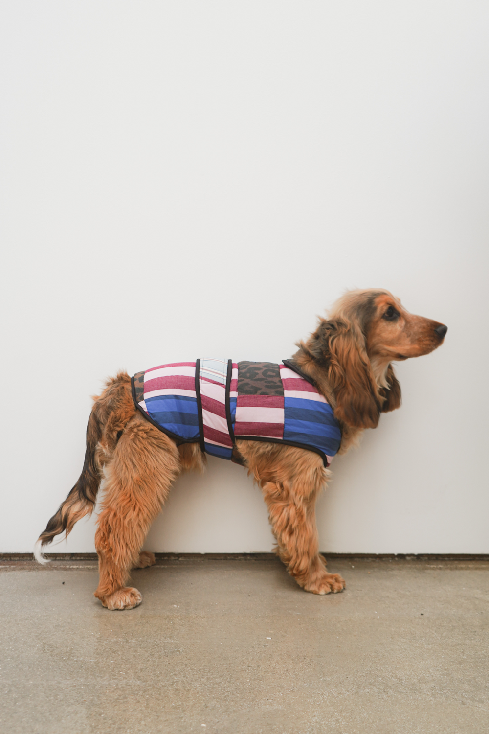 dog coat - patchwork