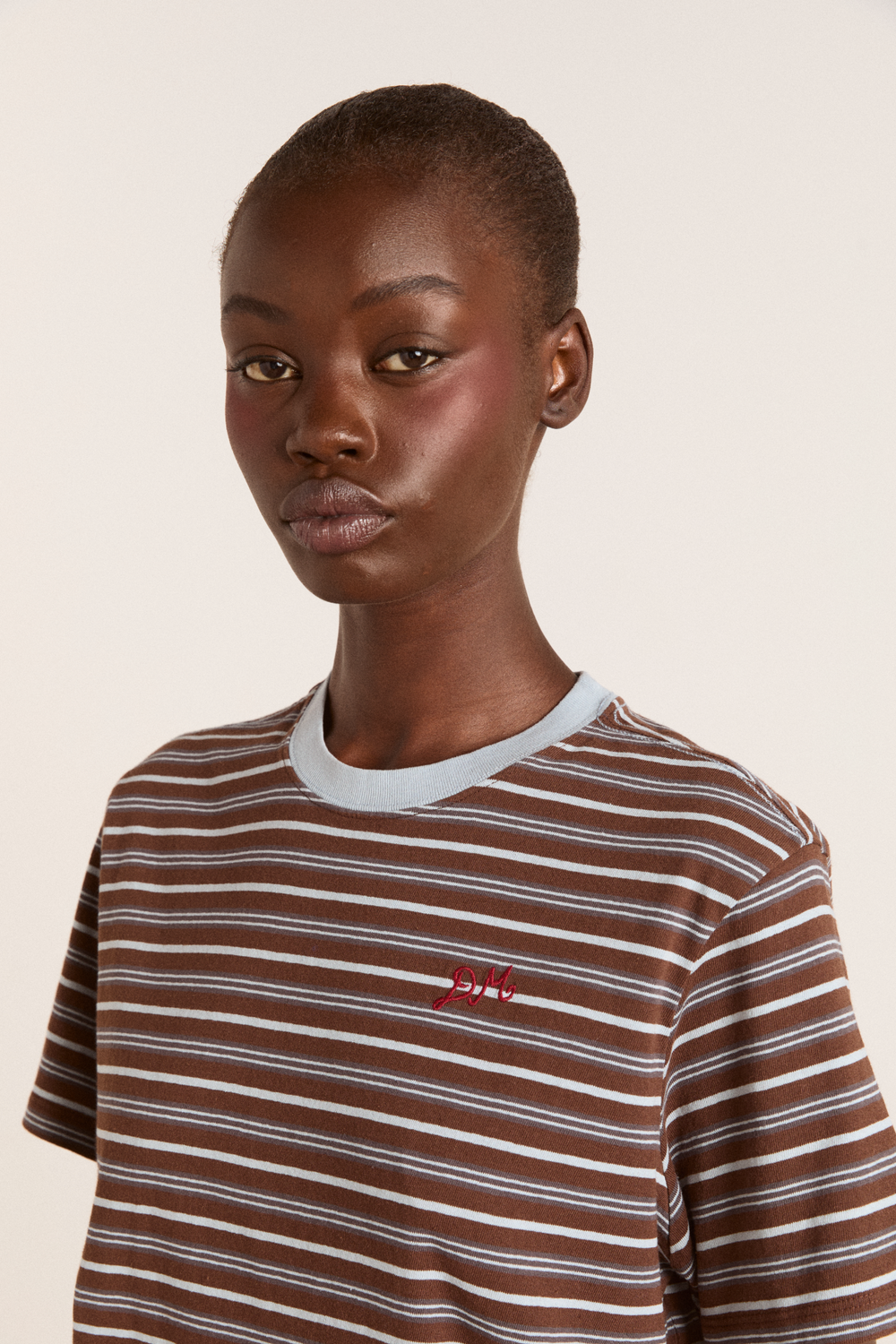 ariel relaxed ss tee - brown/blue stripe