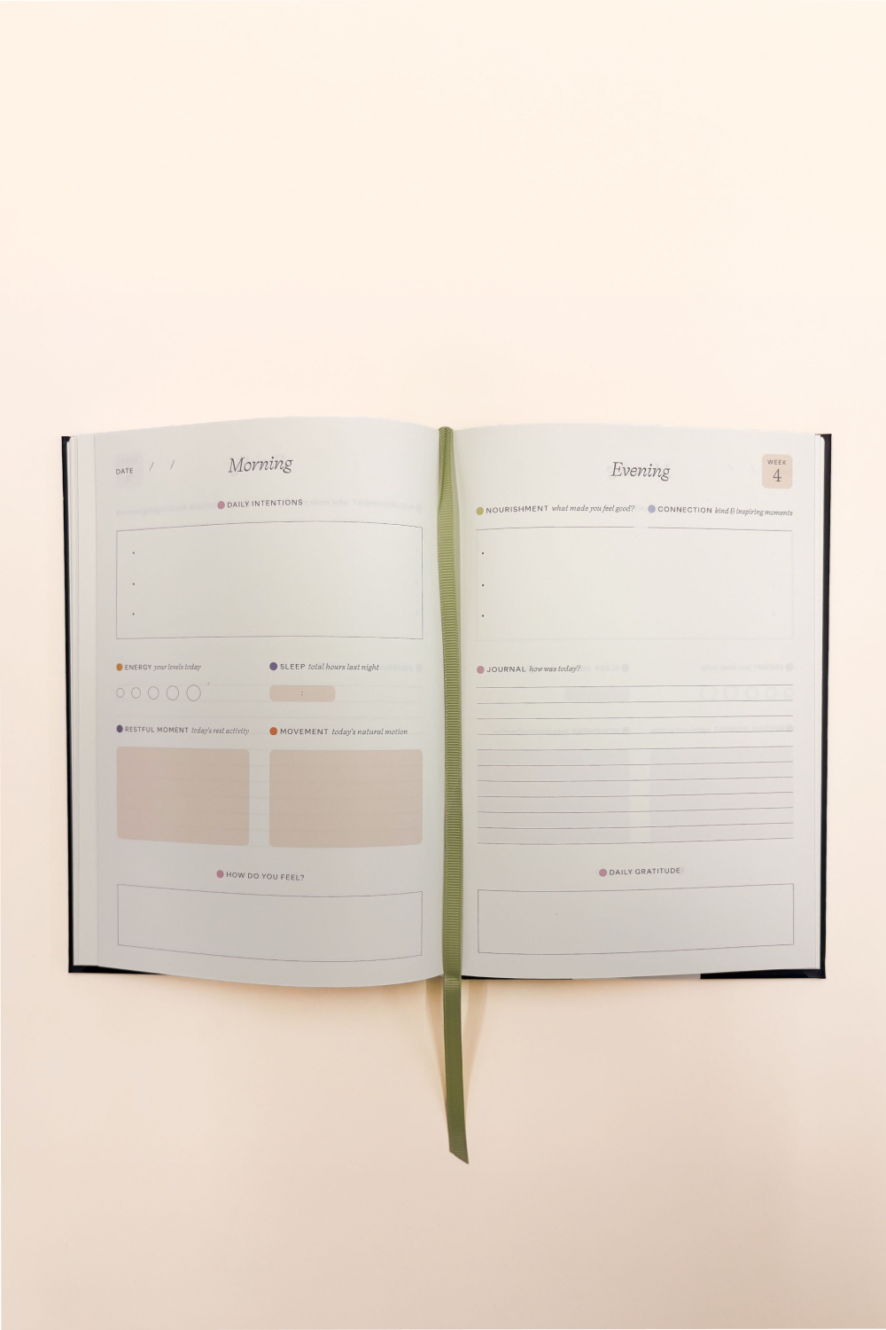 Damson Madder X Papier Spiral Wellness Journal